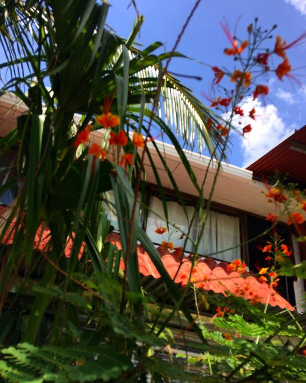 Flamingo Cabinas Hotel Playa Flamingo Esterno foto